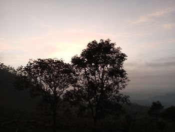 Silhouette trees against sky during sunset