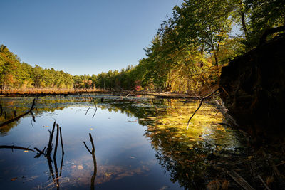 Reflection of trees in lake against sky