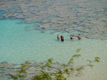 People in swimming pool