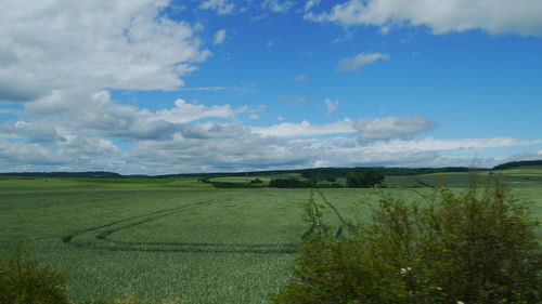 Scenic view of field against sky
