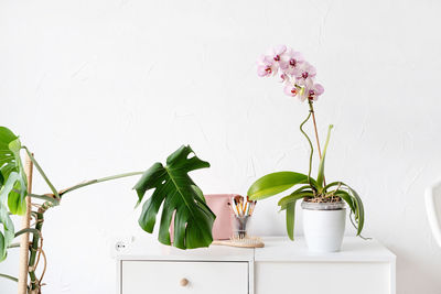 Green tropical monstera and orchid plants on toilet table in light and airy interior of room