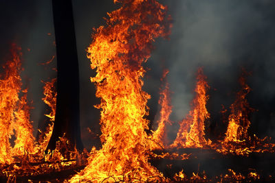 Close-up of bonfire at night