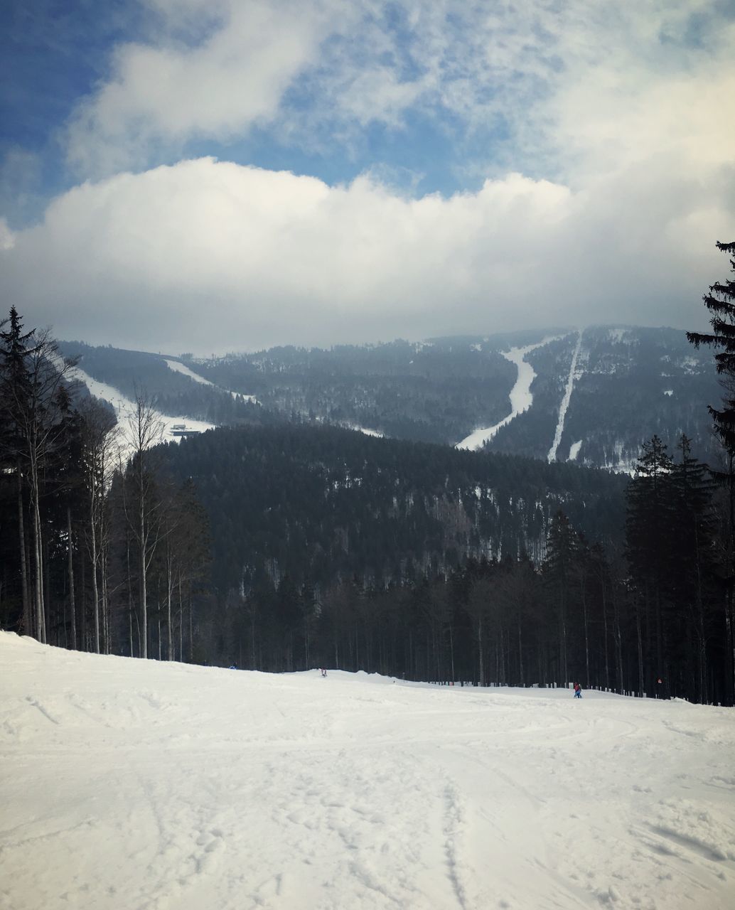 winter, cold temperature, snow, sky, cloud - sky, beauty in nature, mountain, scenics - nature, environment, tranquil scene, nature, tree, white color, tranquility, landscape, covering, land, plant, day, snowcapped mountain, no people, outdoors, coniferous tree