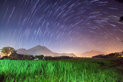 Scenic view of field against sky at night