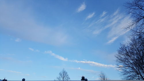 Low angle view of trees against blue sky