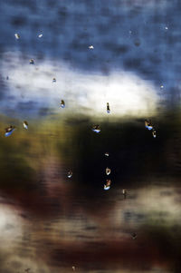 Close-up of raindrops on window against sky