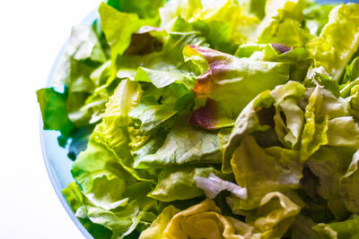 Close-up of chopped vegetables