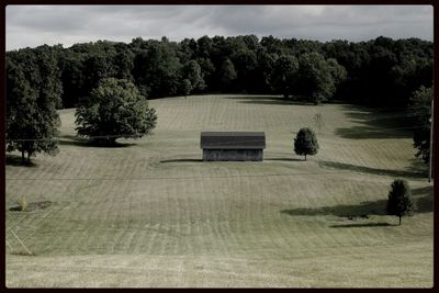 Trees on landscape