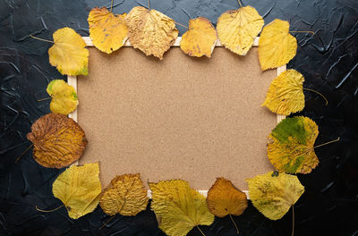 High angle view of yellow maple leaves on table