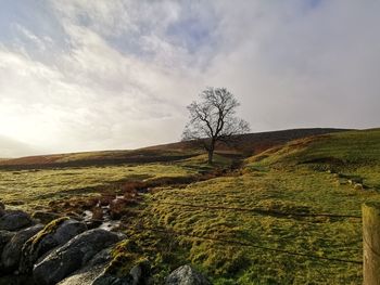 Scenic view of field against sky