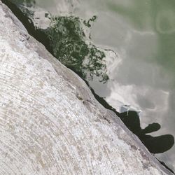 Rocks in a sea