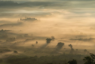 Morning view at phu lang ka , phayao, thailand.