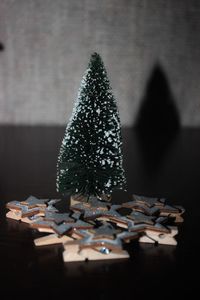Close-up of christmas tree on table