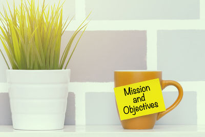 Potted plant by mug with text on table