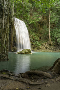 Scenic view of waterfall in forest