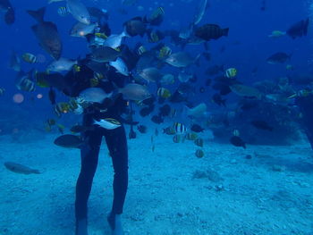 Low section of man swimming in aquarium