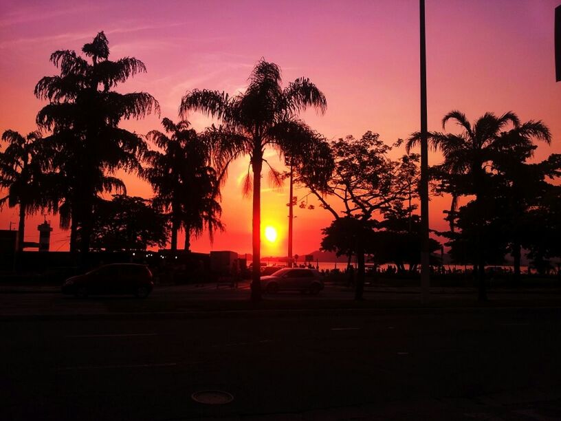 sunset, silhouette, tree, palm tree, orange color, sun, tranquility, scenics, sky, tranquil scene, beauty in nature, idyllic, nature, dark, sunlight, road, street light, tree trunk, growth, outdoors