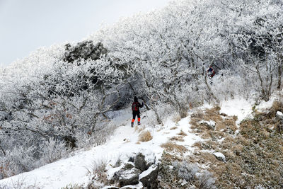 View of snow covered landscape
