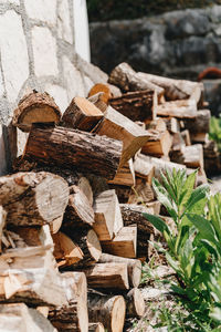 Close-up of logs