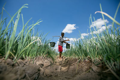 Man carrying buckets while standing at farm