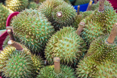 Close up many durian is in the basket in front of the market, durian is a tropical fruit in thailand