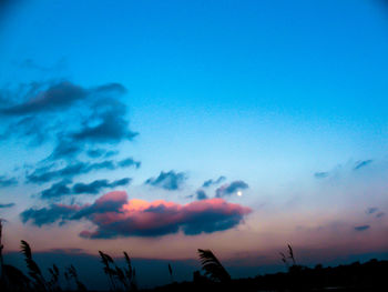 Low angle view of silhouette trees against sky at sunset