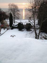 Scenic view of snow covered landscape