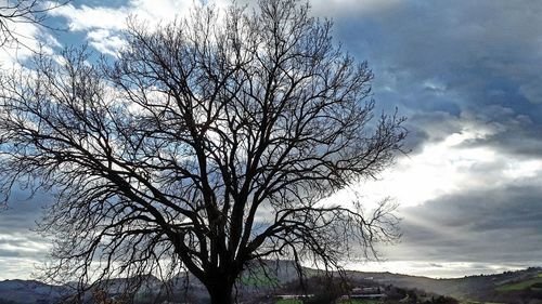 Low angle view of bare tree against cloudy sky