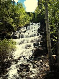 River flowing through forest