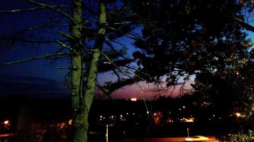 Silhouette trees against sky at night