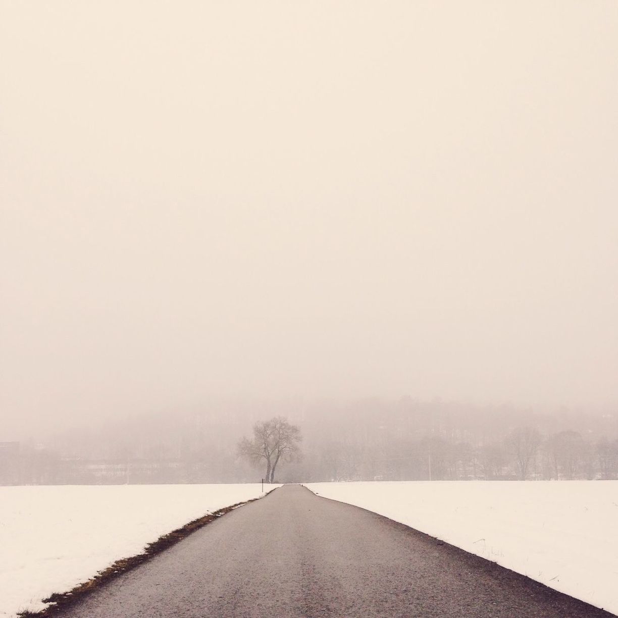 winter, snow, cold temperature, the way forward, tranquil scene, weather, tranquility, clear sky, season, copy space, scenics, landscape, beauty in nature, nature, tree, road, diminishing perspective, bare tree, foggy