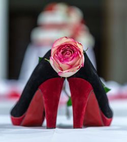 Close-up of pink rose on table