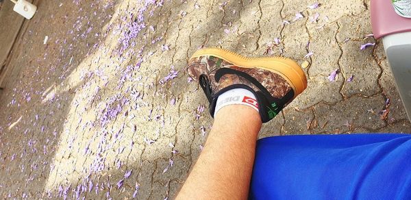 Low section of woman wearing shoes