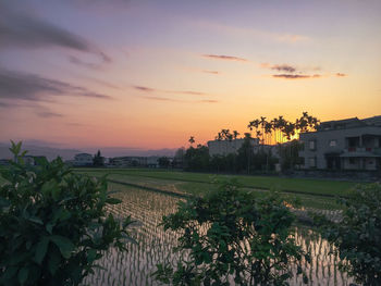 Scenic view of field against sky during sunset