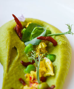 Close-up of food served in plate