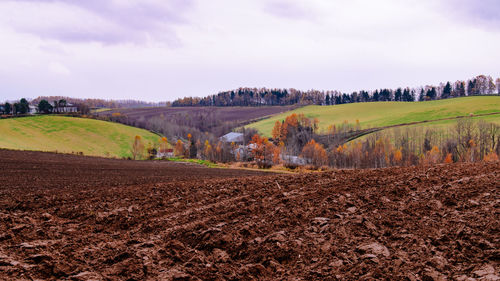 Scenic view of agricultural field against sky