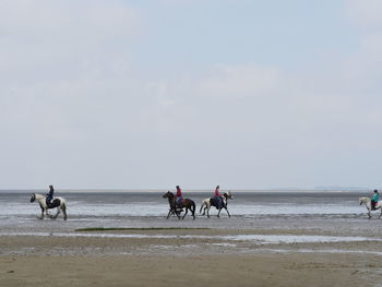 People riding horses on beach against sky