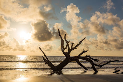 Scenic view of sea against sky at sunset