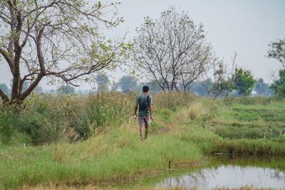 Rear view of man walking on field