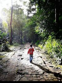 Woman walking on footpath in forest