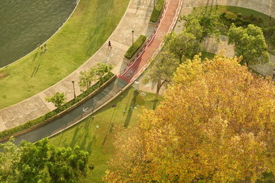High angle view of road amidst trees