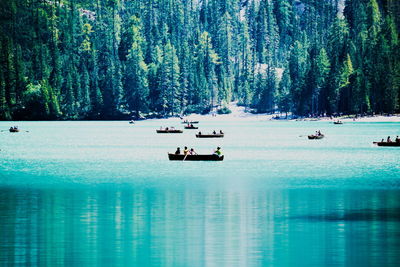 Scenic view of lake in forest