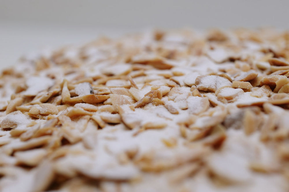 CLOSE-UP OF FOOD ON GROUND