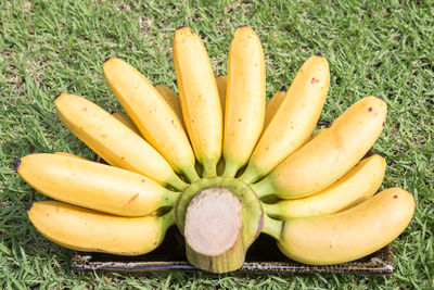 High angle view of bananas 