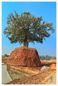 Trees on landscape against blue sky