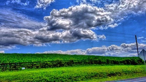 Scenic view of agricultural field against sky