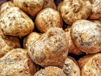 Full frame shot of jicama fruits