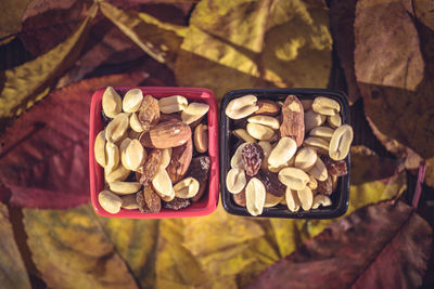 Close-up of dried fruits in bowls on autumn leaves