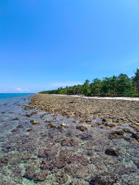 Scenic view of sea against clear blue sky