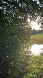 Scenic view of lake by trees against sky